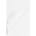 Business Source Plain Memo Pads (65902)