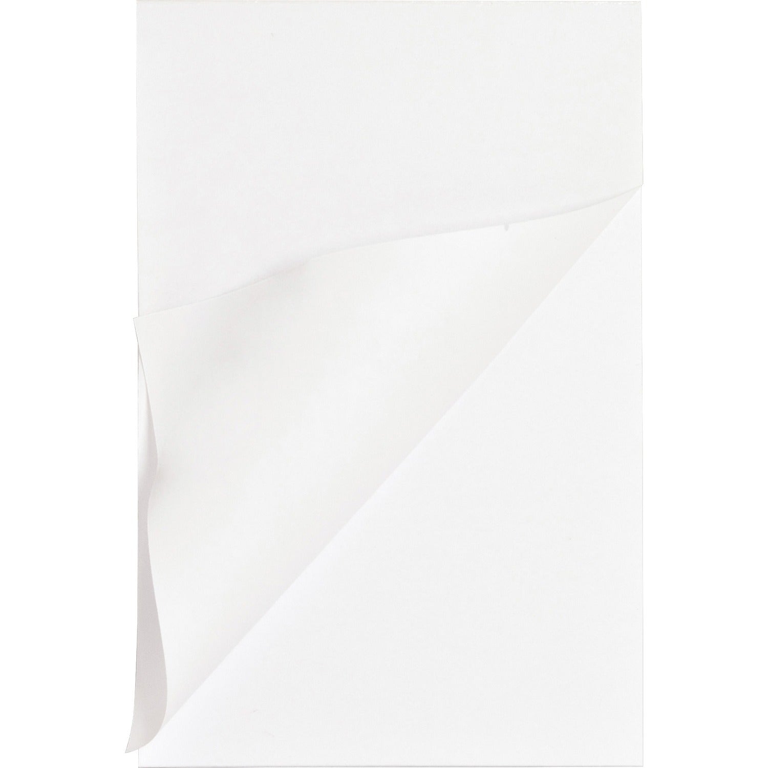 Business Source Plain Memo Pads (65902)