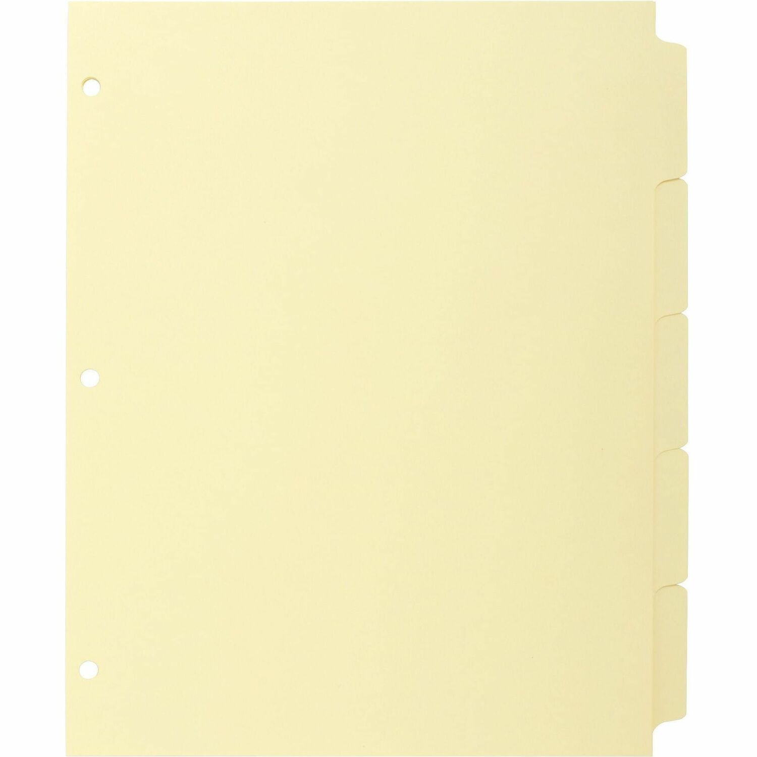 Business Source Mylar-reinforced Plain Tab Indexes (16480)