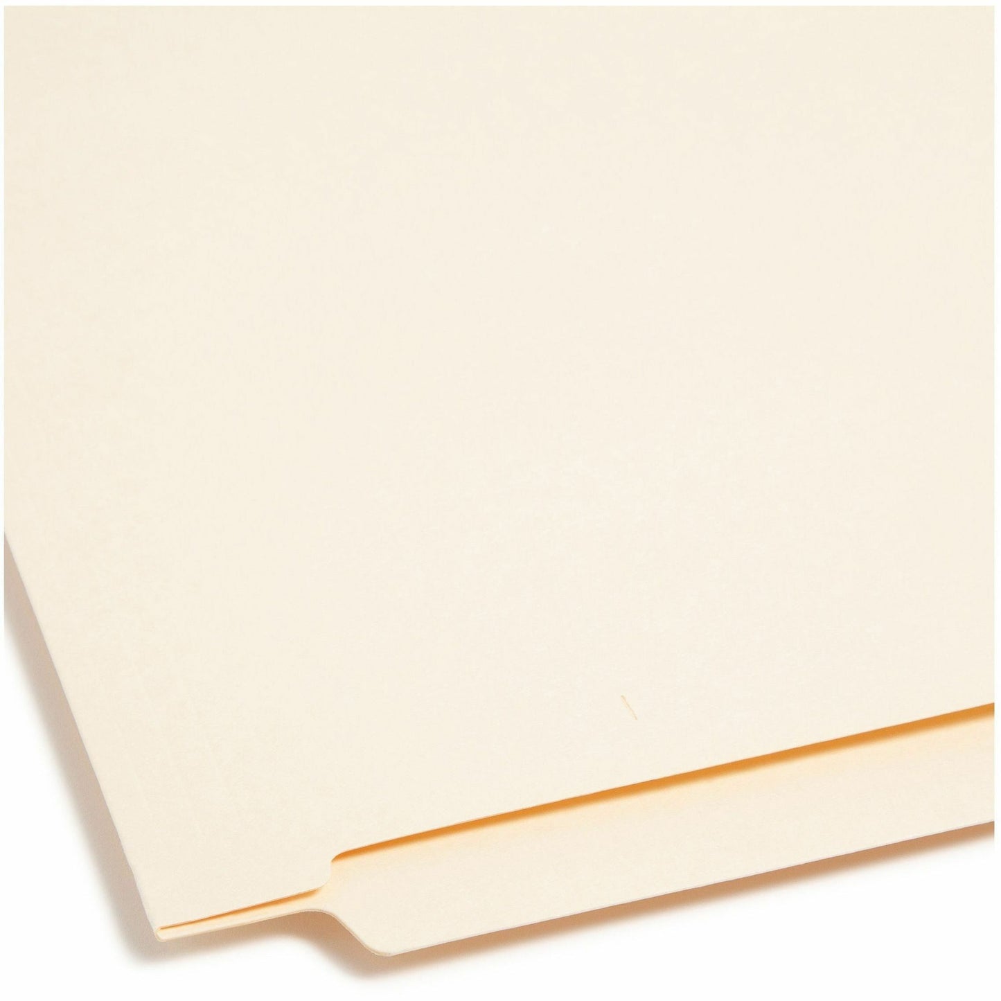 Smead Straight Tab Cut Letter Recycled Fastener Folder (34117)