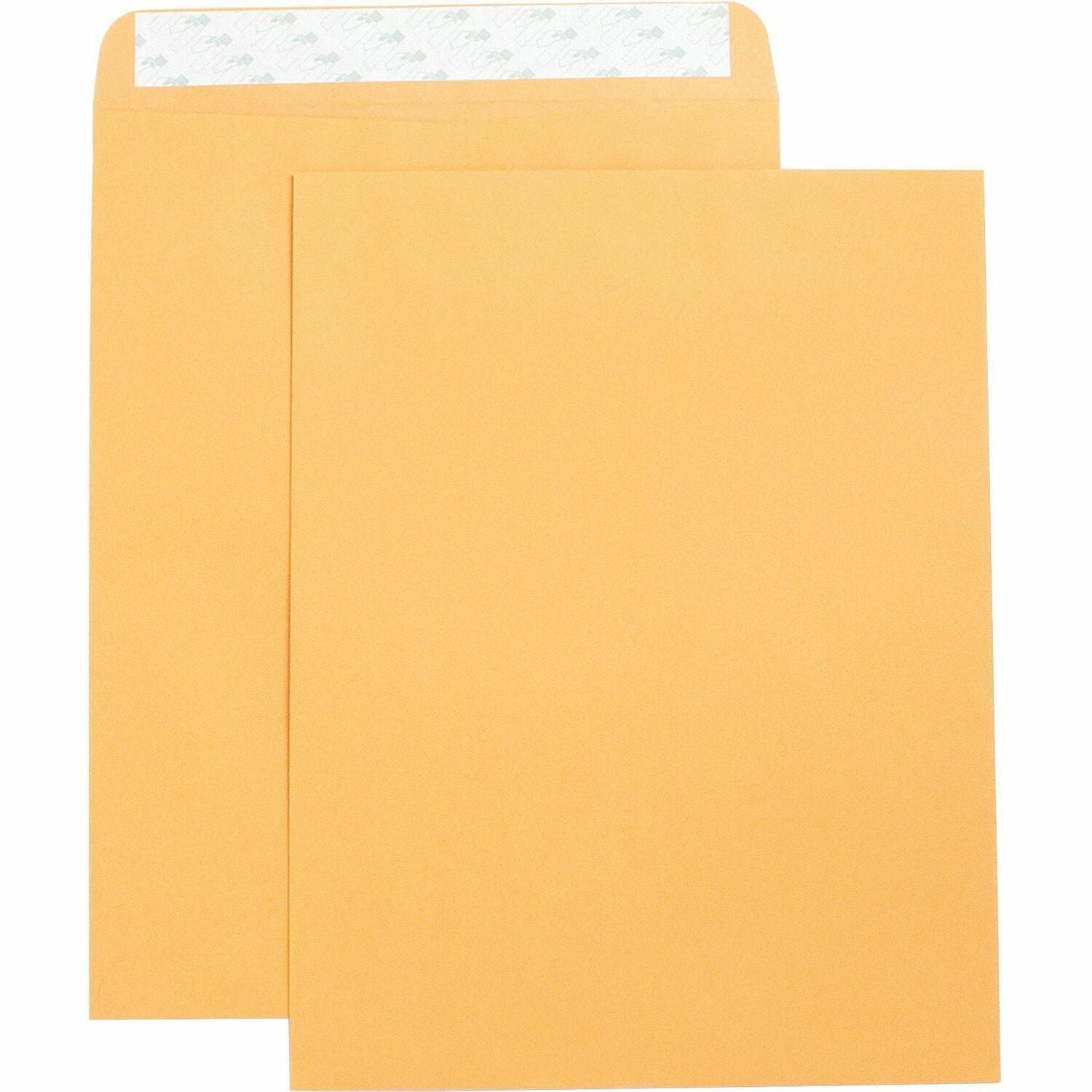 Business Source Self Adhesive Kraft Catalog Envelopes (42121)