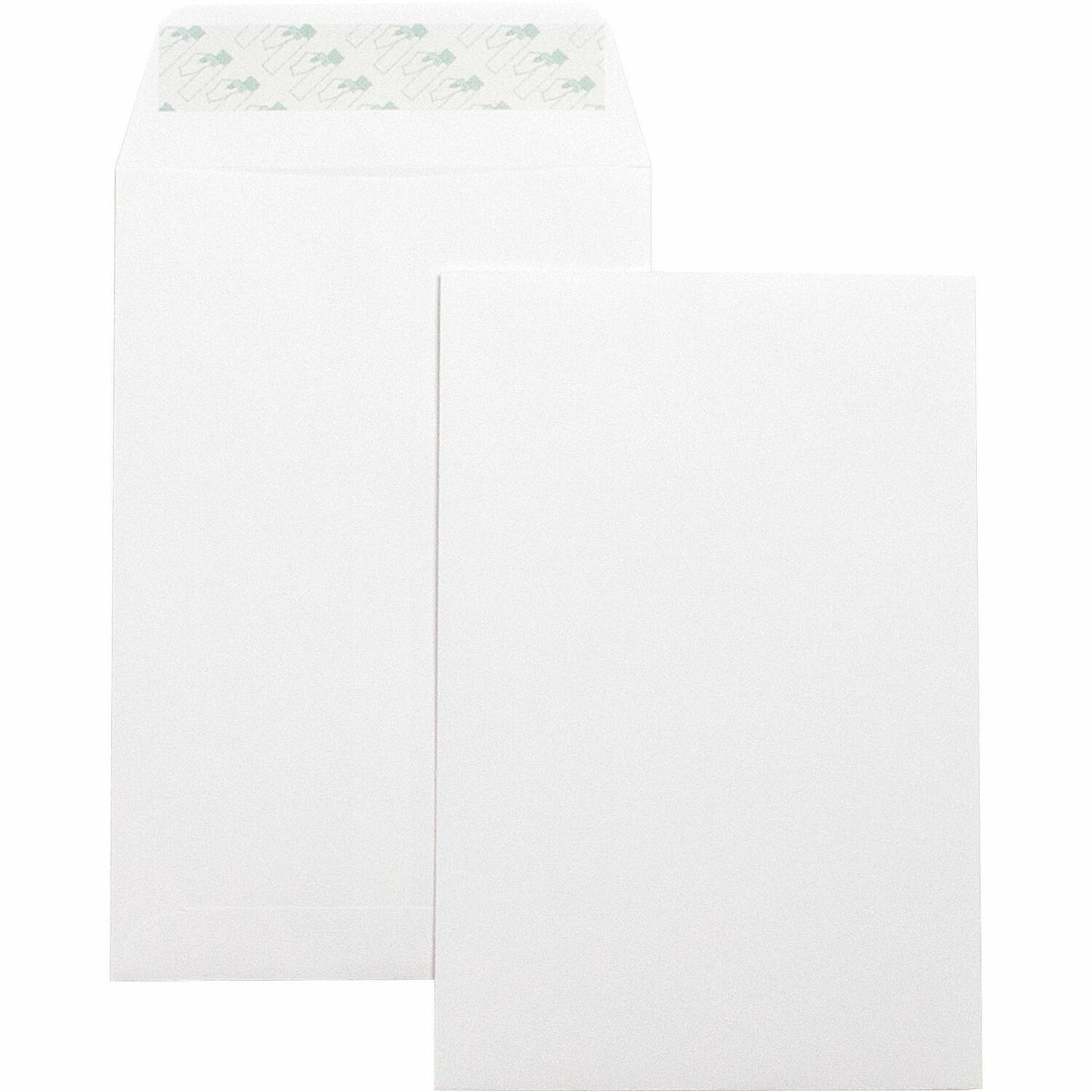 Business Source Self-Seal 6"x9" Catalog Envelopes (42122)