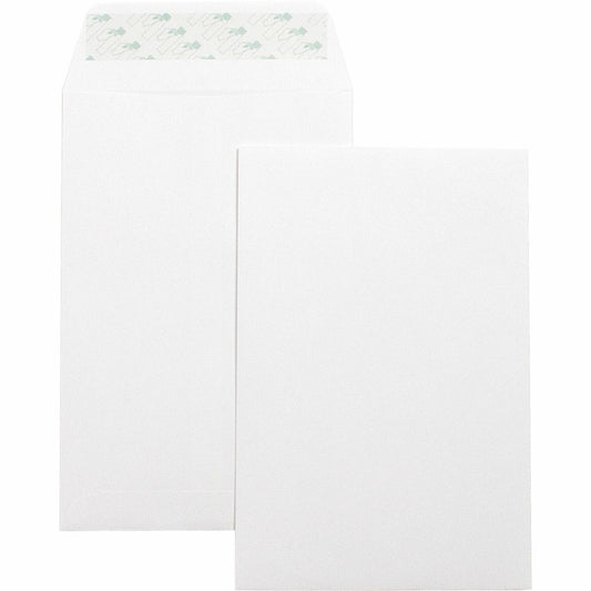 Business Source Self-Seal 6"x9" Catalog Envelopes (42122)