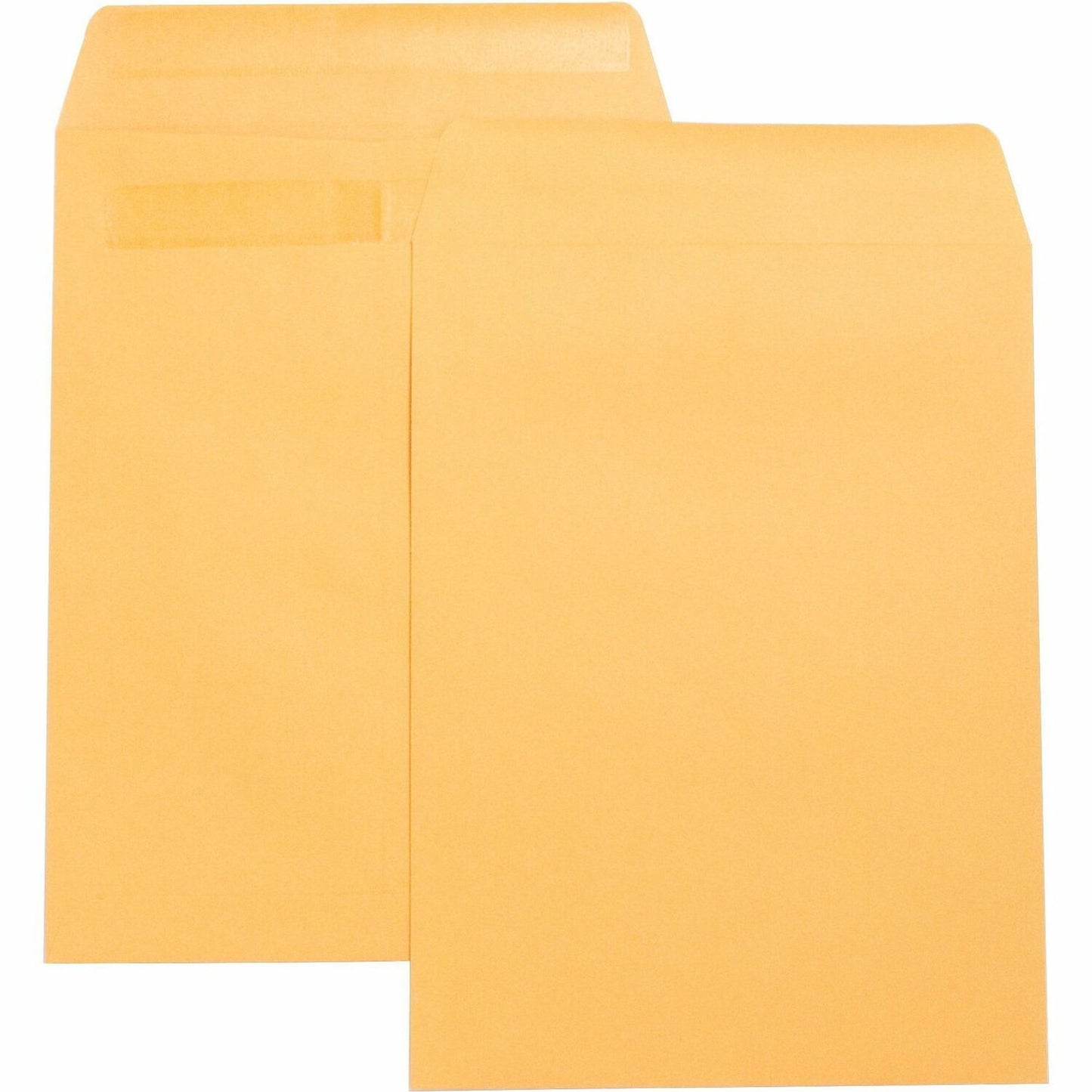 Business Source Press-To-Seal Catalog Envelopes (42123)