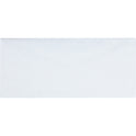 Business Source No.10 Regular Tint Security Envelopes (42206)