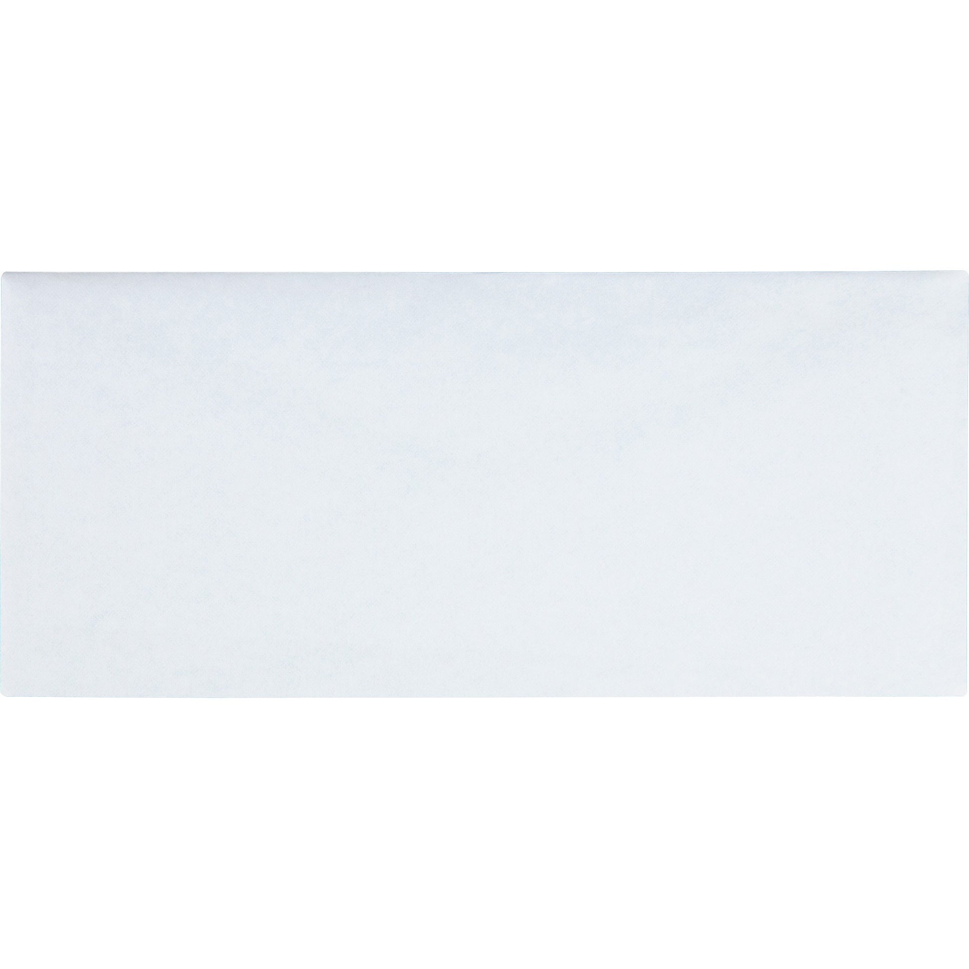 Business Source No.10 Regular Tint Security Envelopes (42206)