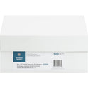 Business Source No.10 Regular Tint Security Envelopes (42206)