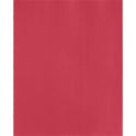 Business Source Letter Recycled Pocket Folder (78510)