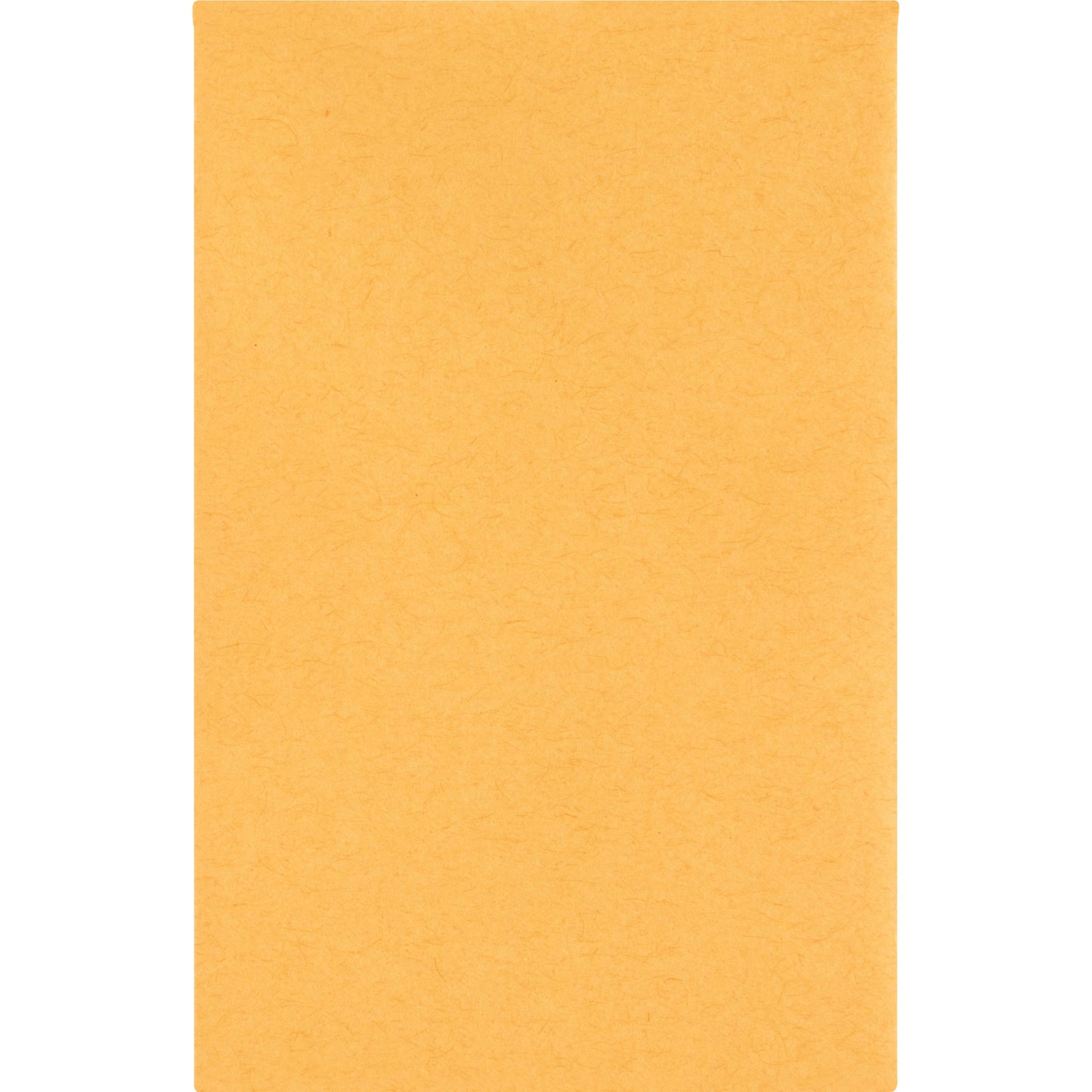 Business Source Small Coin Kraft Envelopes (04440)