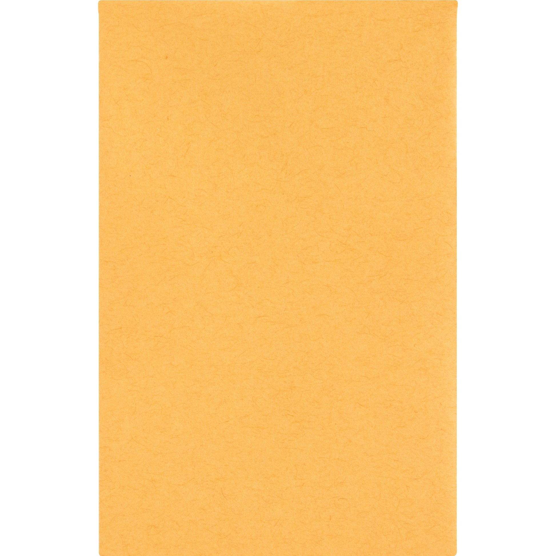 Business Source Small Coin Kraft Envelopes (04440)