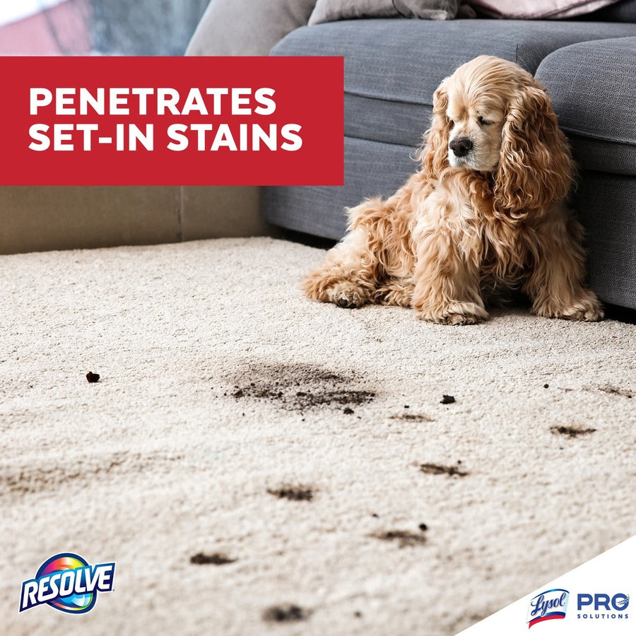  Spot & Stain Carpet Cleaner (97402)