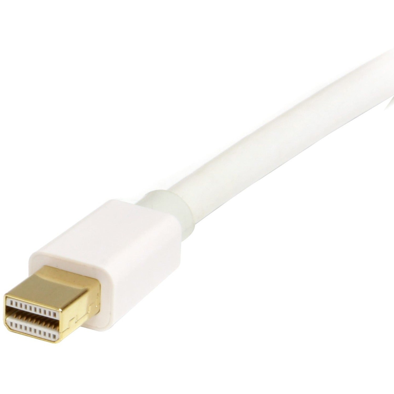 StarTech 2m 6ft Mini Dp To Displayport 1.2 Cable (MDP2DPMM2MW)