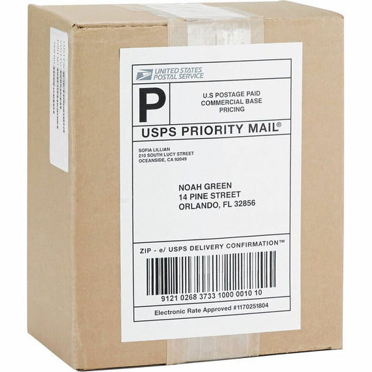 Business Source Shipping Labels (26161)