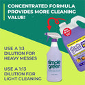 Simple Green Pro HD All-In-One Heavy-Duty Cleaner (13421)