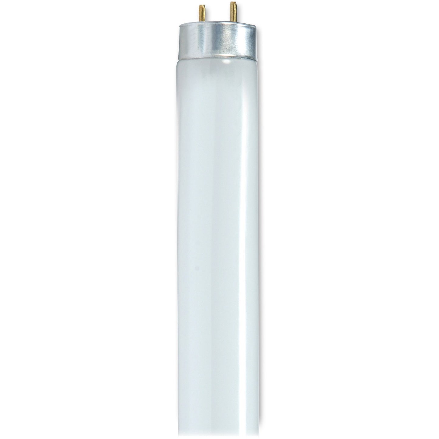 Satco 28-watt 48" T8 Fluorescent Tube (S8424)