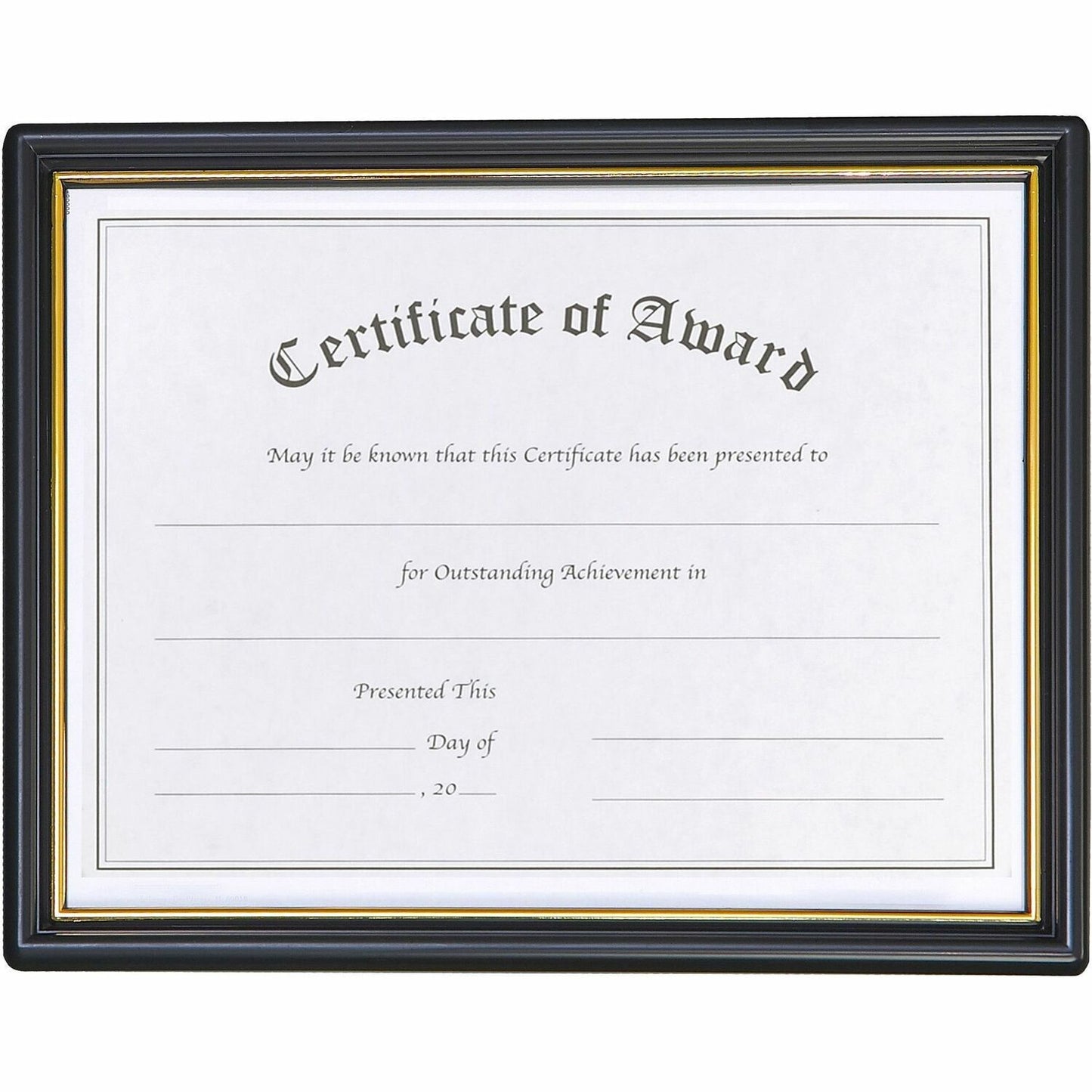 nudell Plastic Framed Award Certificate (19210)