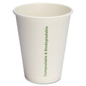 Genuine Joe 12 oz Eco-friendly Paper Cups (10215)