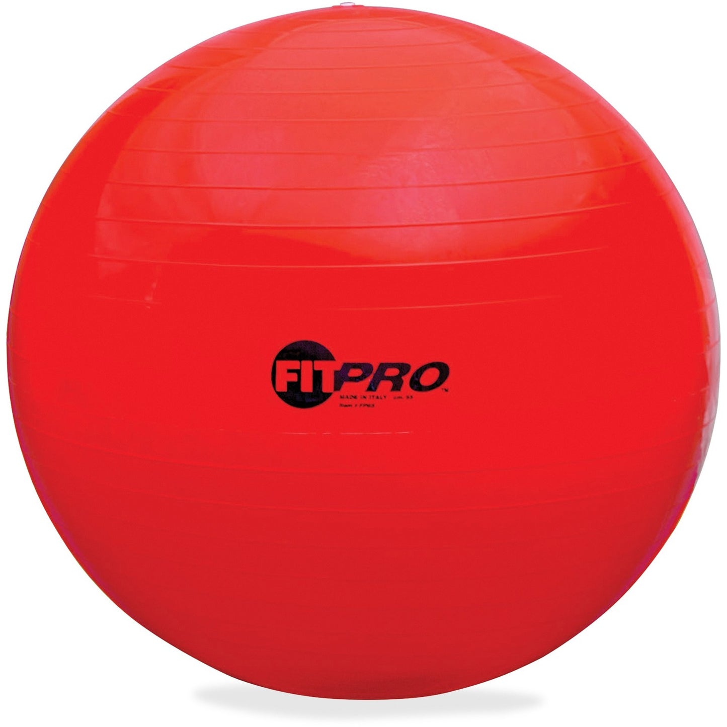 Champion Sports FitPro Training/Exercise Ball (FP65)