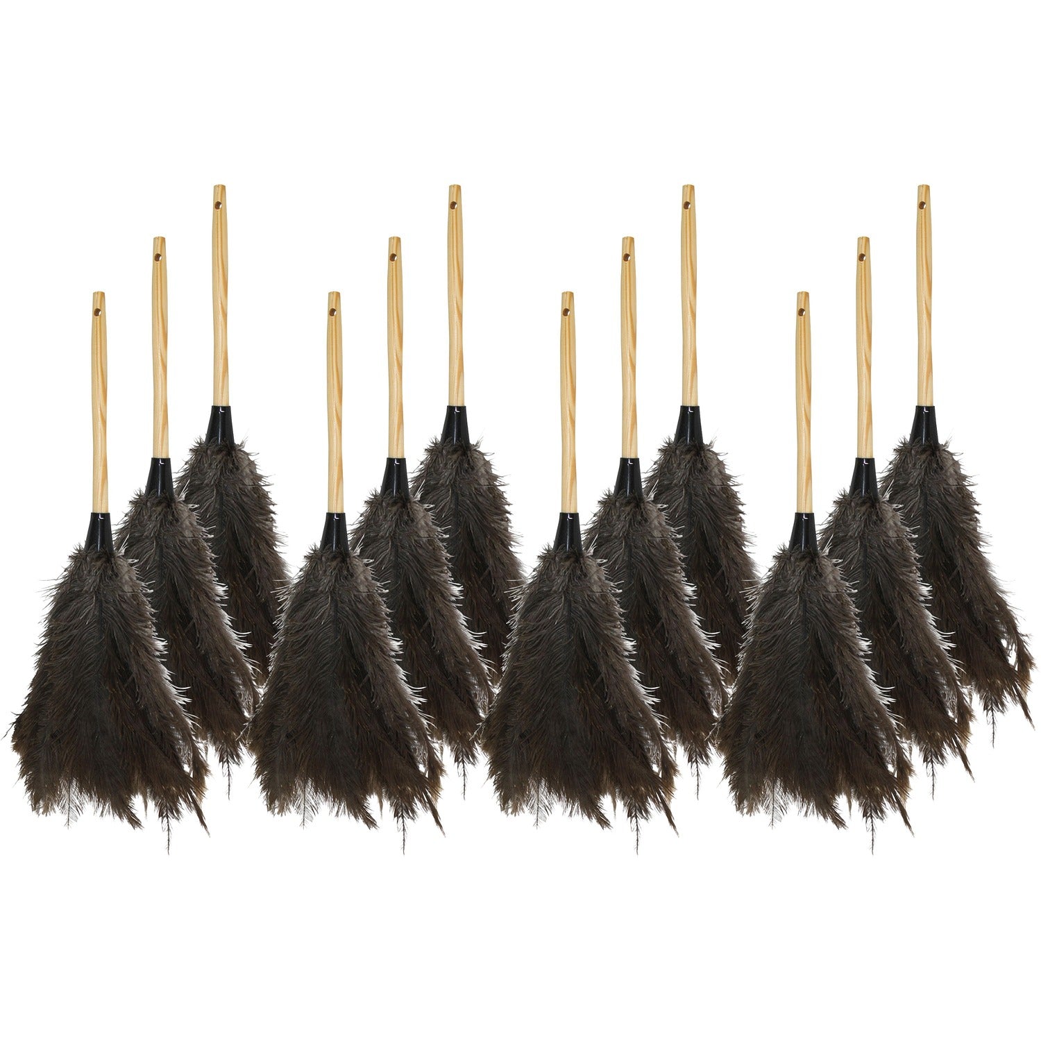 Genuine Joe Feather Duster (90118CT)