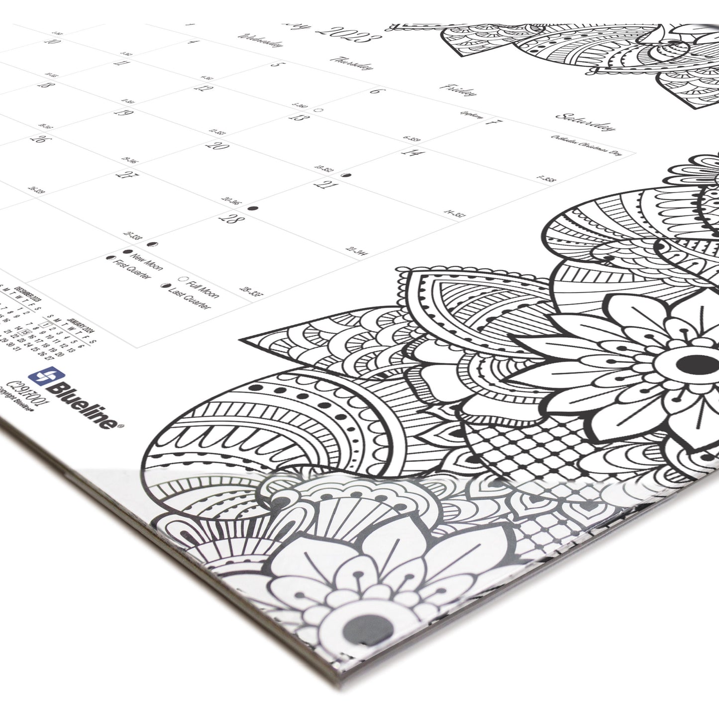 Blueline DoodlePlan Compact Desk Pad - Botanica (C2917001)