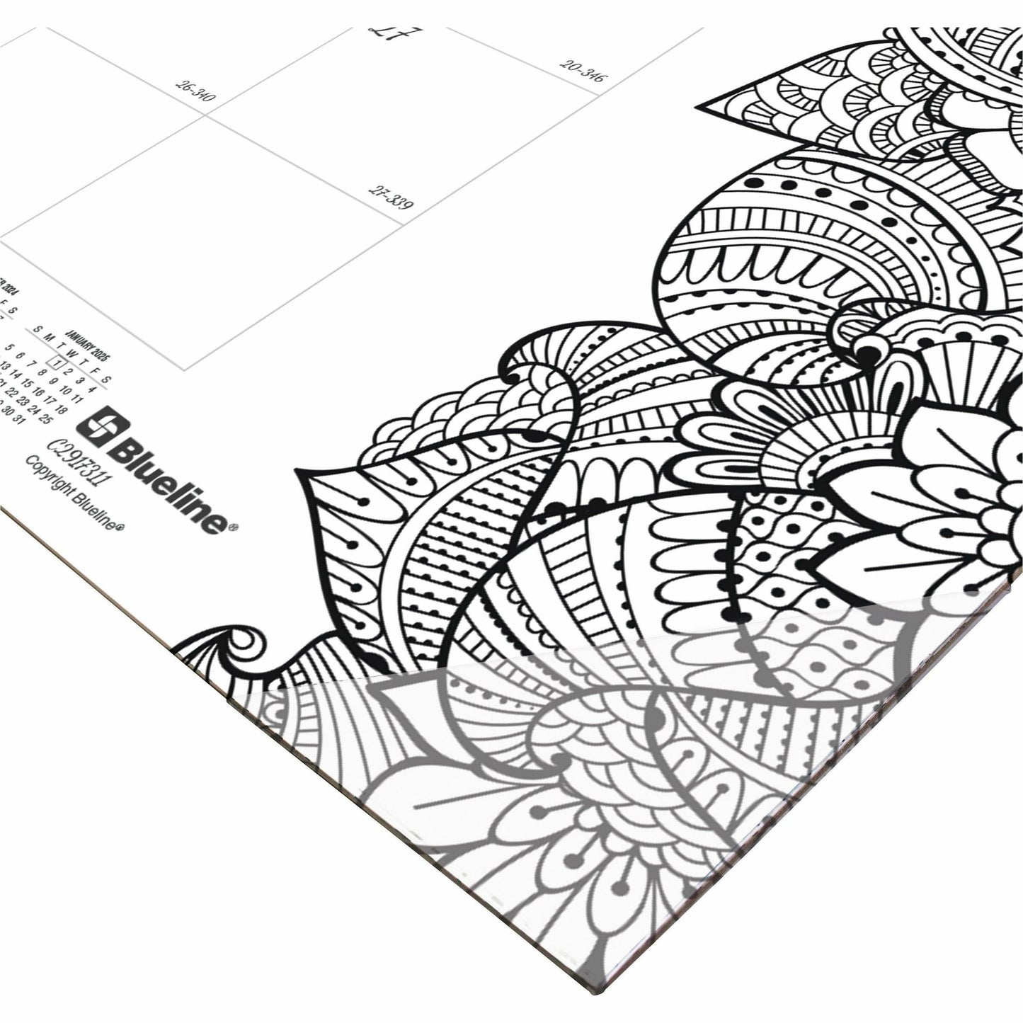 Blueline DoodlePlan Desk Pad - Botanica (C2917311)