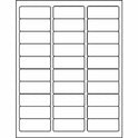 Business Source Multipurpose Address Labels (98110)