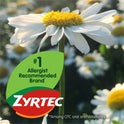 Zyrtec Allergy Tablets (20436)