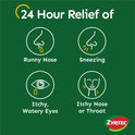 Zyrtec Allergy Tablets (20436)