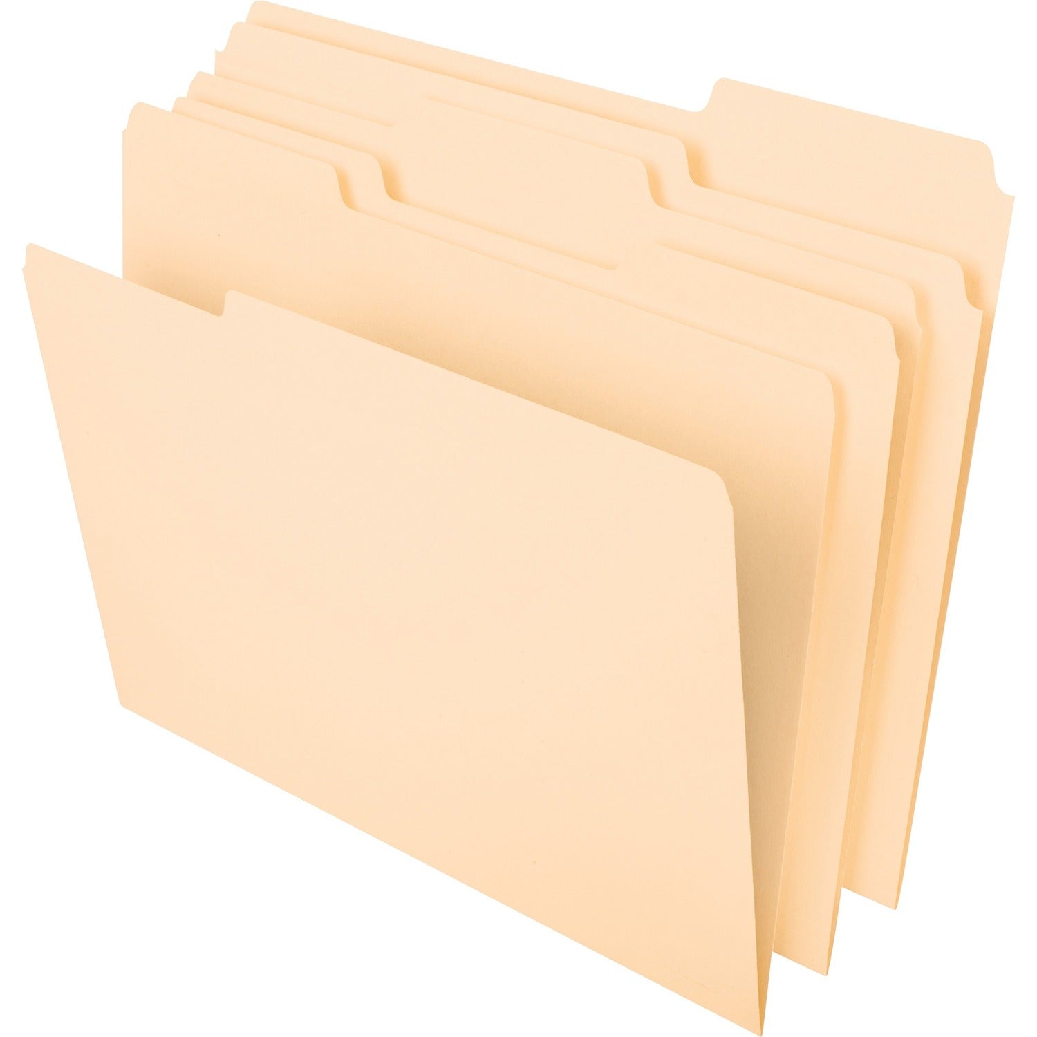 Pendaflex 1/3 Tab Cut Letter Expanding File (86413)