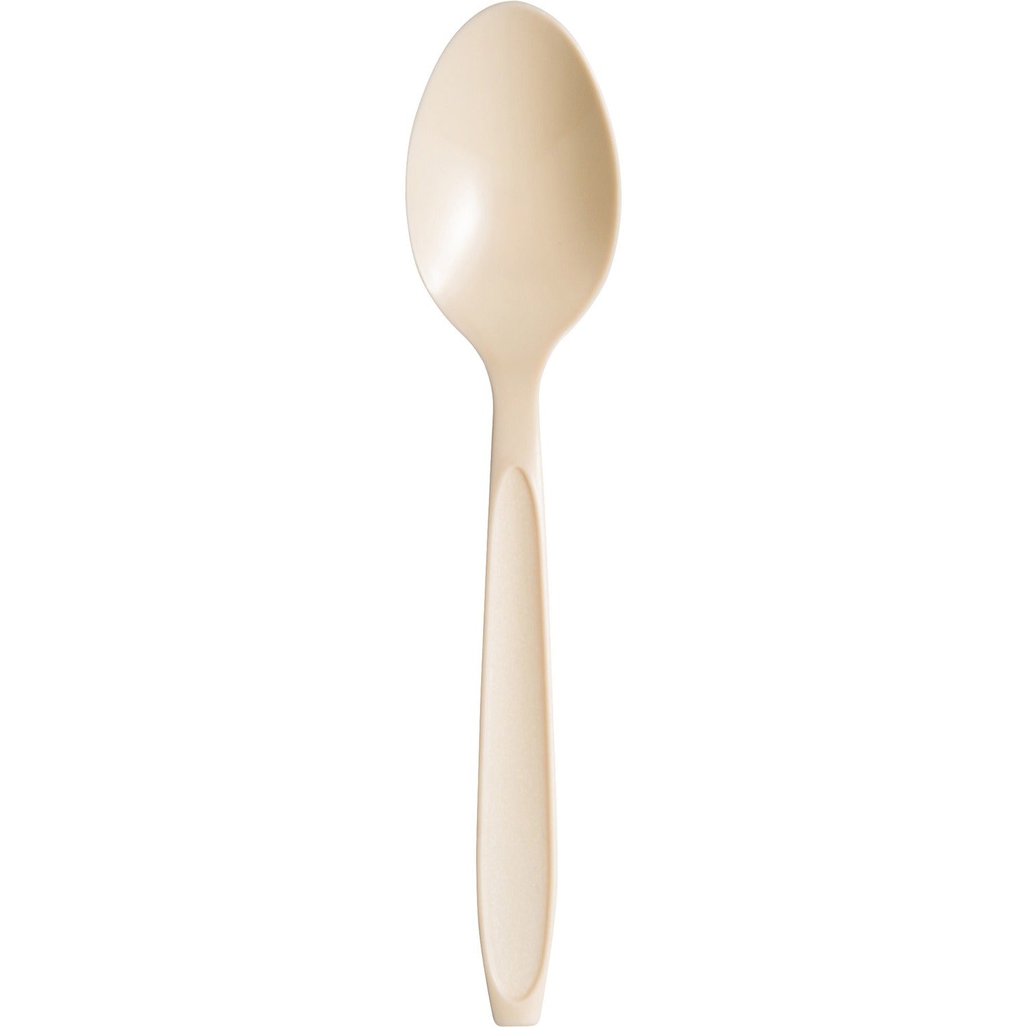 Solo Cup Reliance Medium Weight Bulk Teaspoons (RSAT0019)