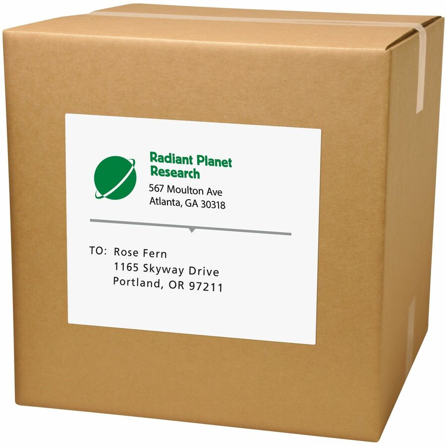  Shipping Address Labels, Full Sheet Labels, Permanent, 500 Labels (91200)