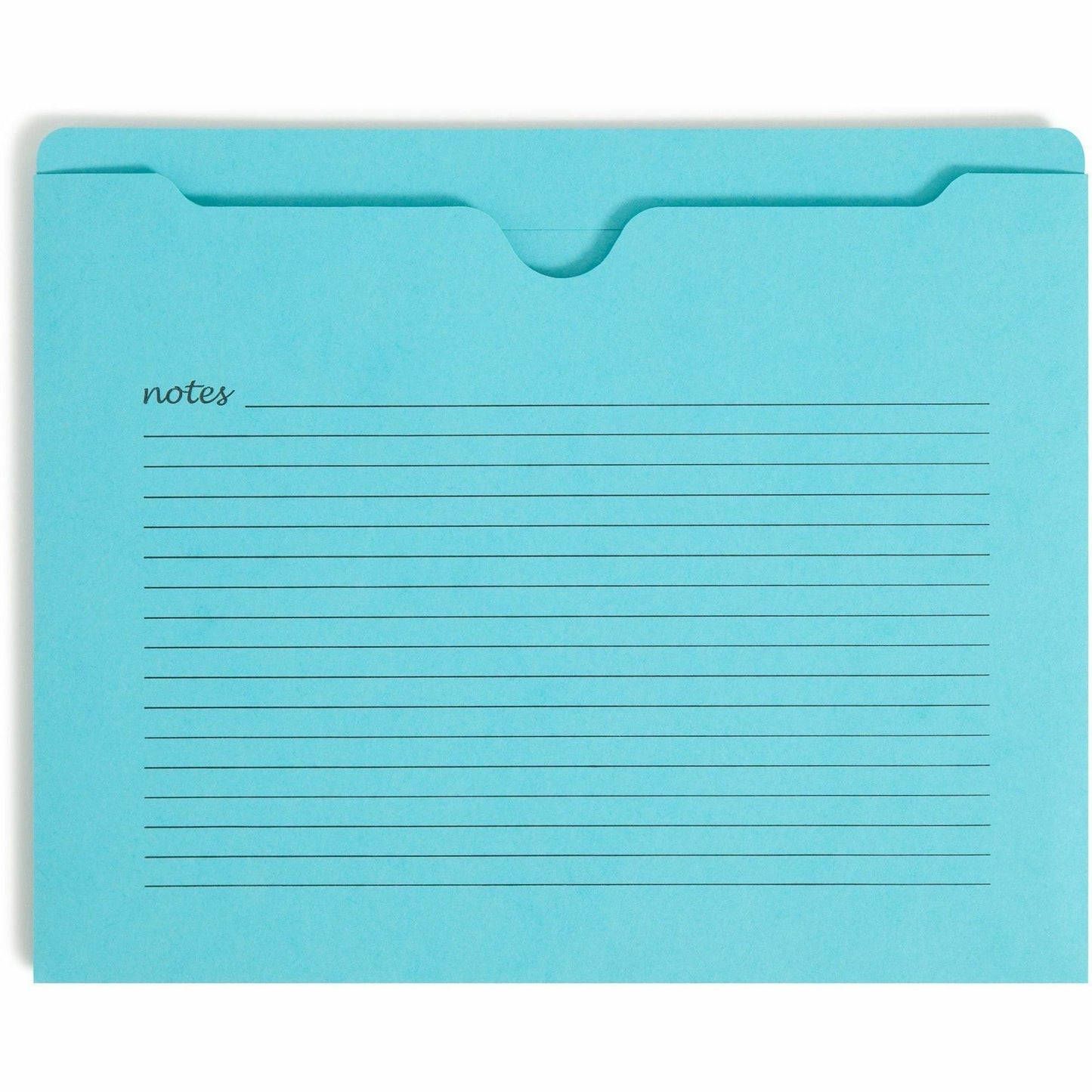 Smead Straight Tab Cut Letter Recycled File Jacket (75616)