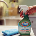Clorox Clean-Up All Purpose Cleaner with Bleach (30197)
