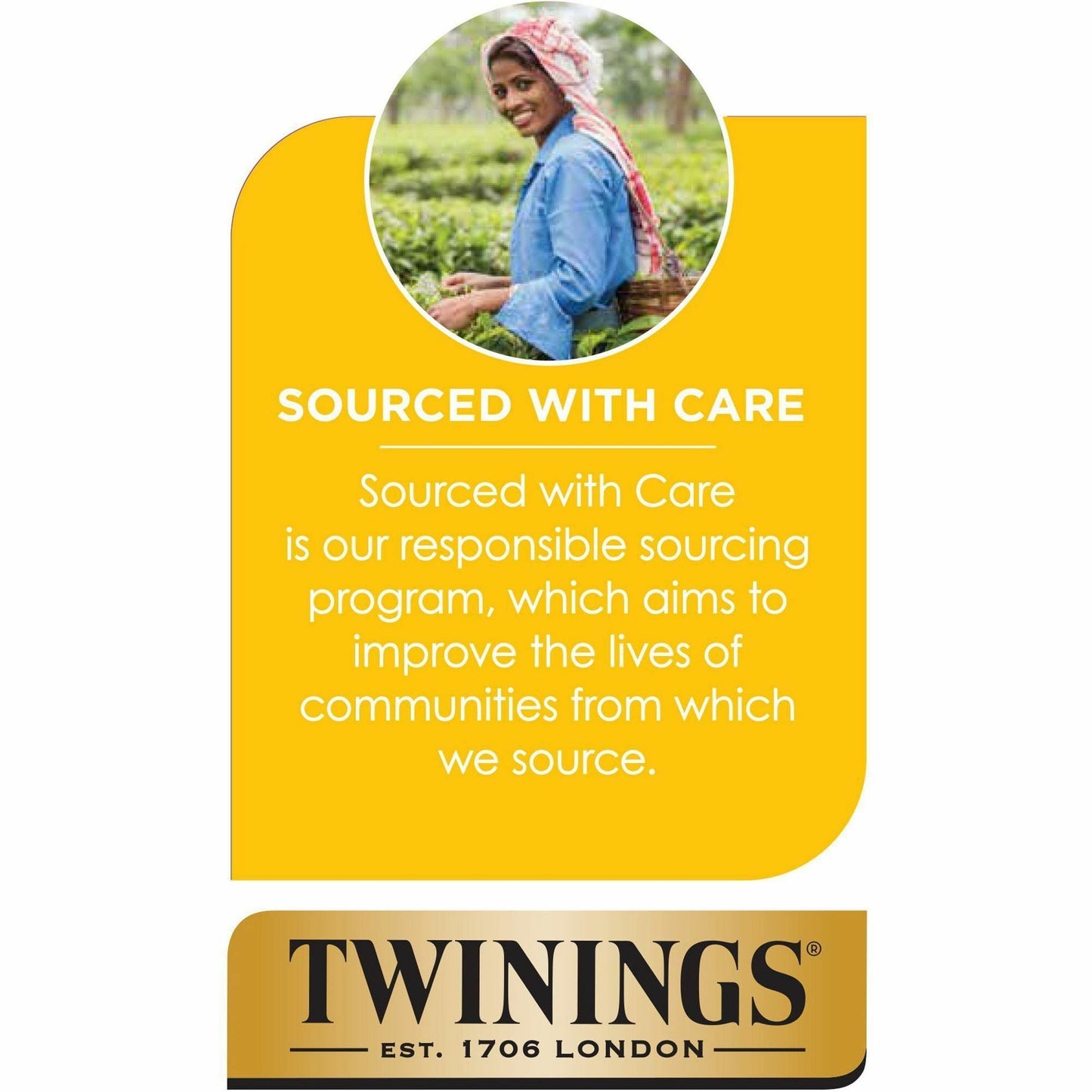 Twinings of London Pure Peppermint Herbal Tea Bag (09179)