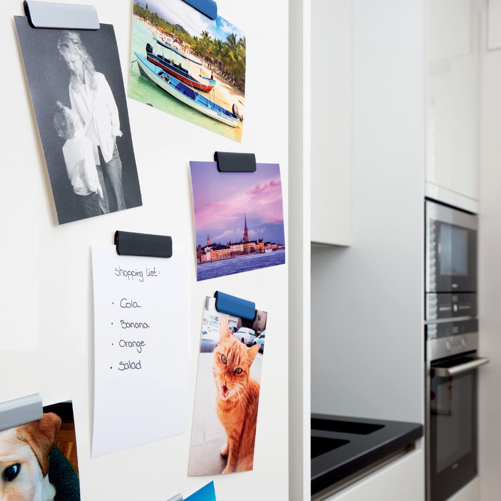 DURABLE DURAFIX Clip (470501)