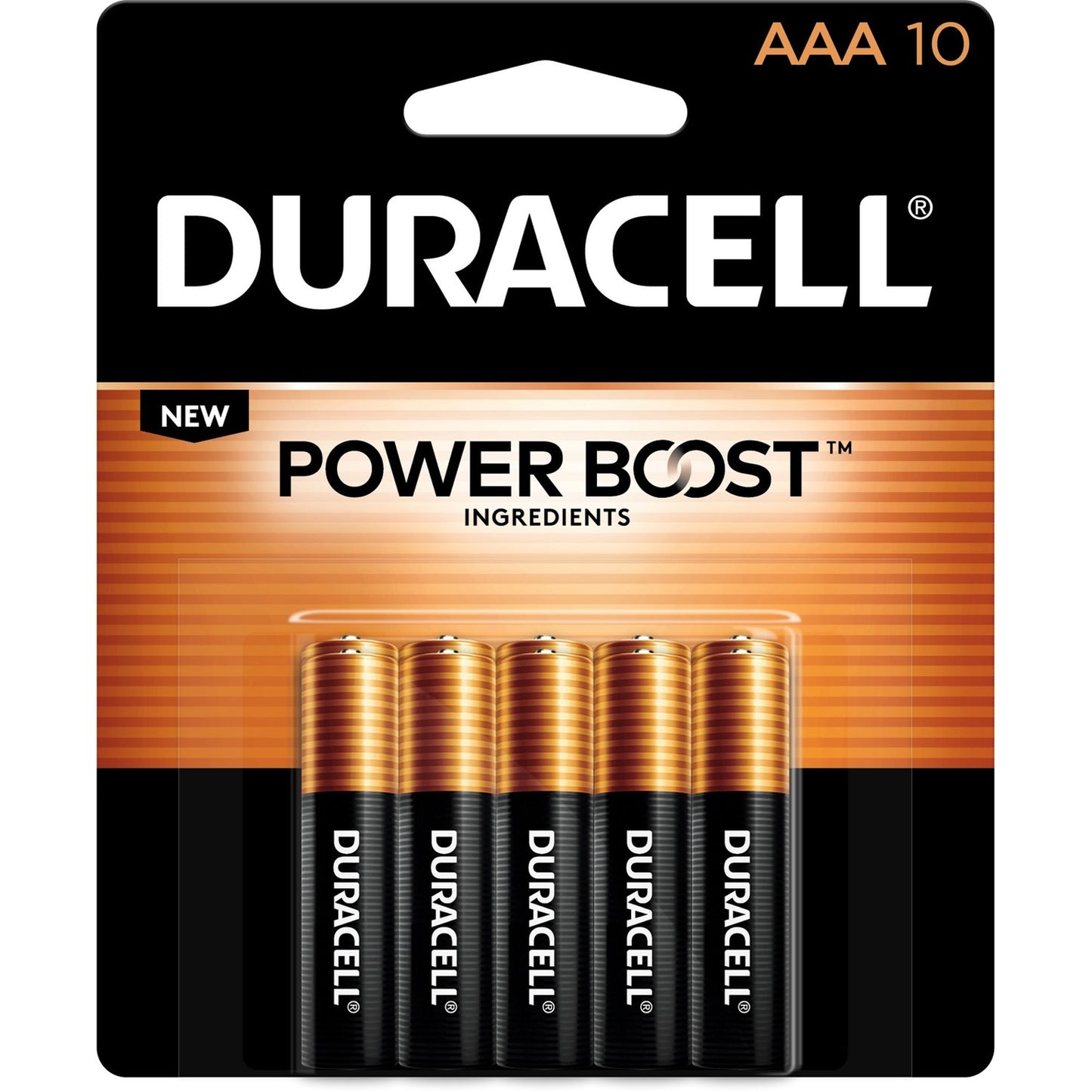Duracell Coppertop Alkaline AAA Battery 10-Packs (MN2400B10ZCT)