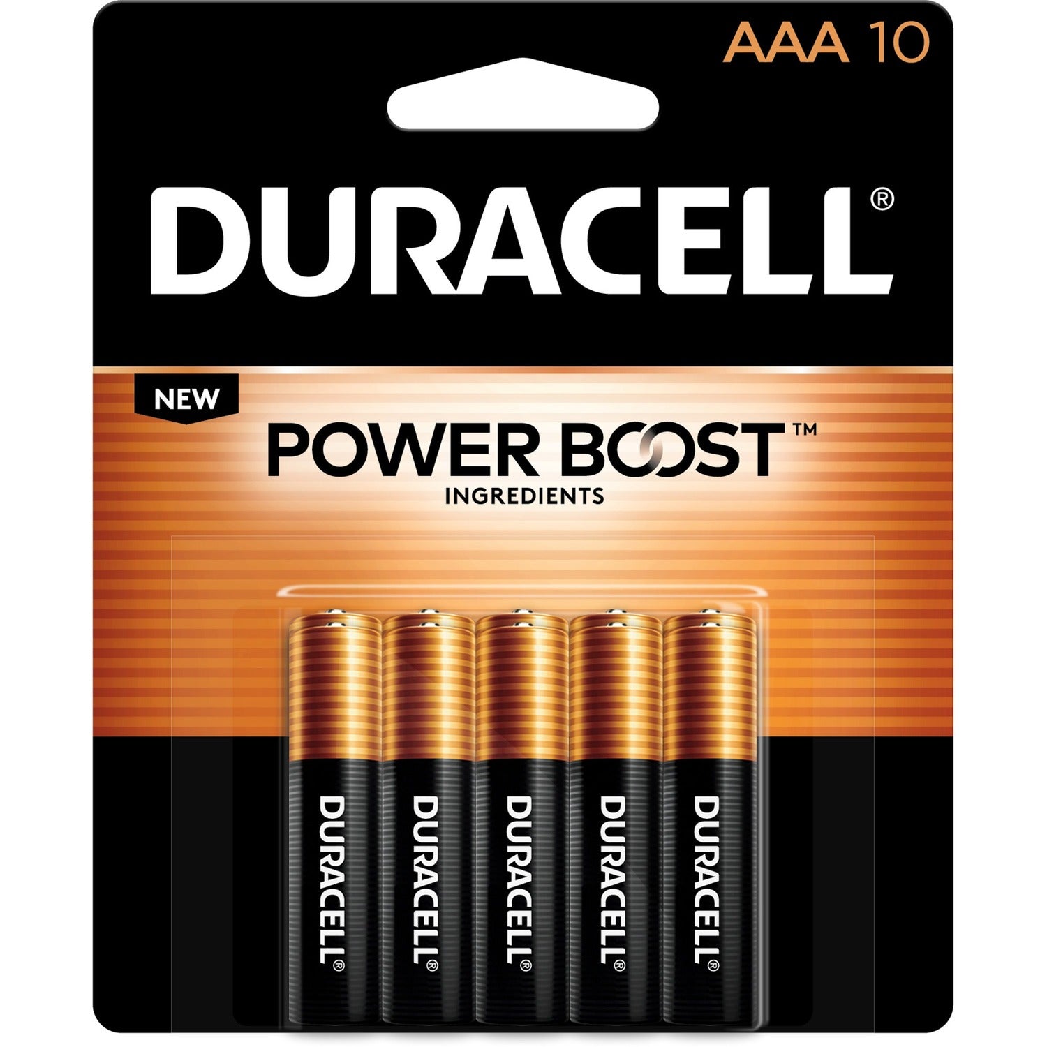 Duracell Coppertop Alkaline AAA Battery 10-Packs (MN2400B10ZCT)