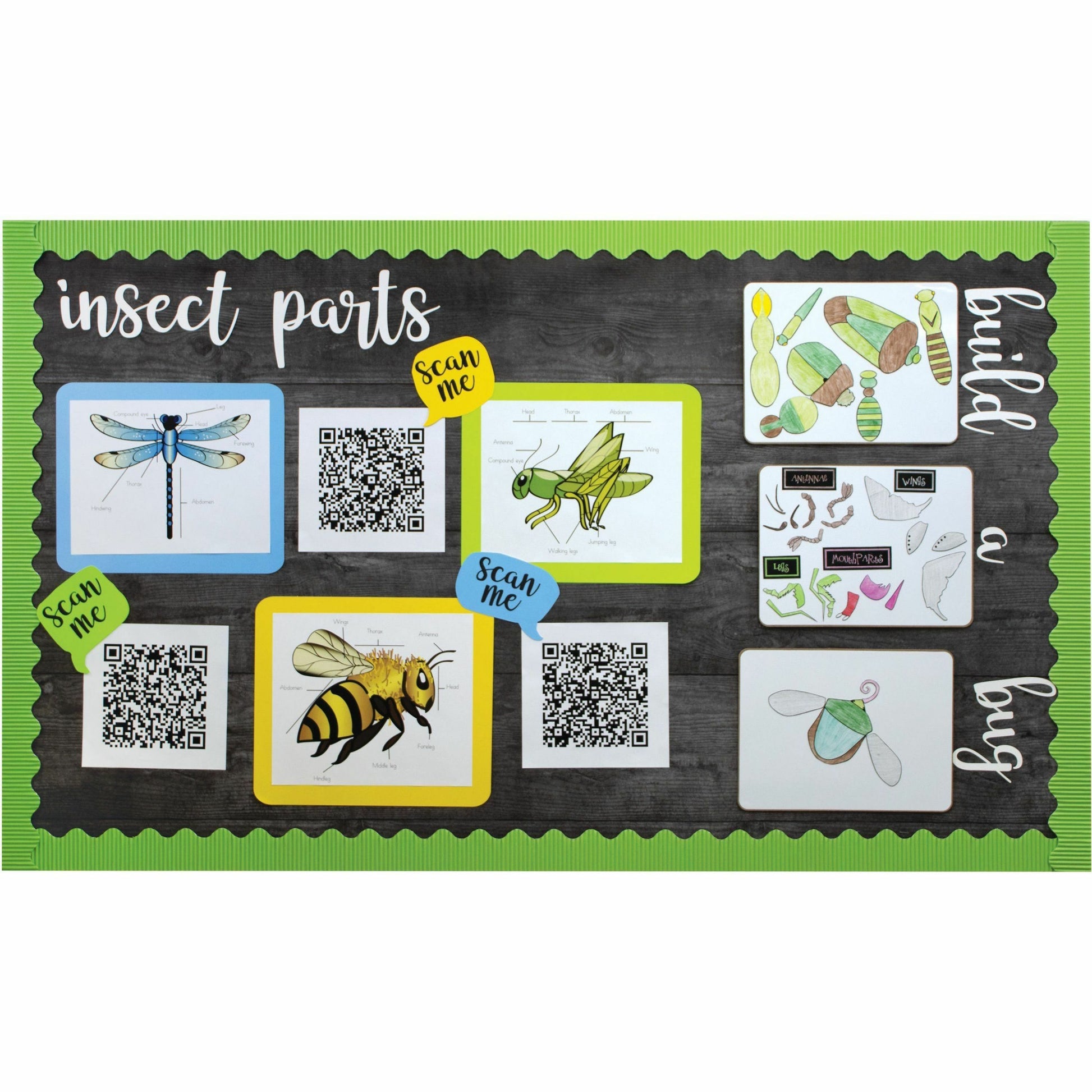 Fadeless Designs Paper Roll (P56915)