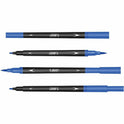 BIC Intensity Marker (FPINDP12AST)