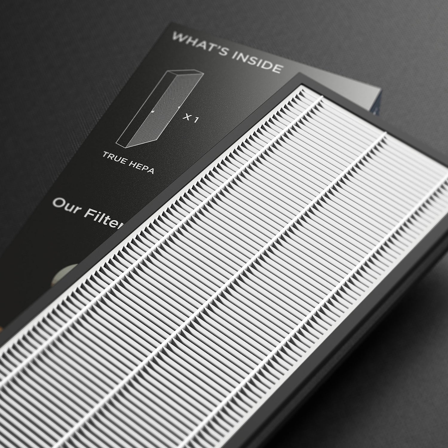 Eureka Air 3-in-1 Air Purifier Replacement Filter (F1)