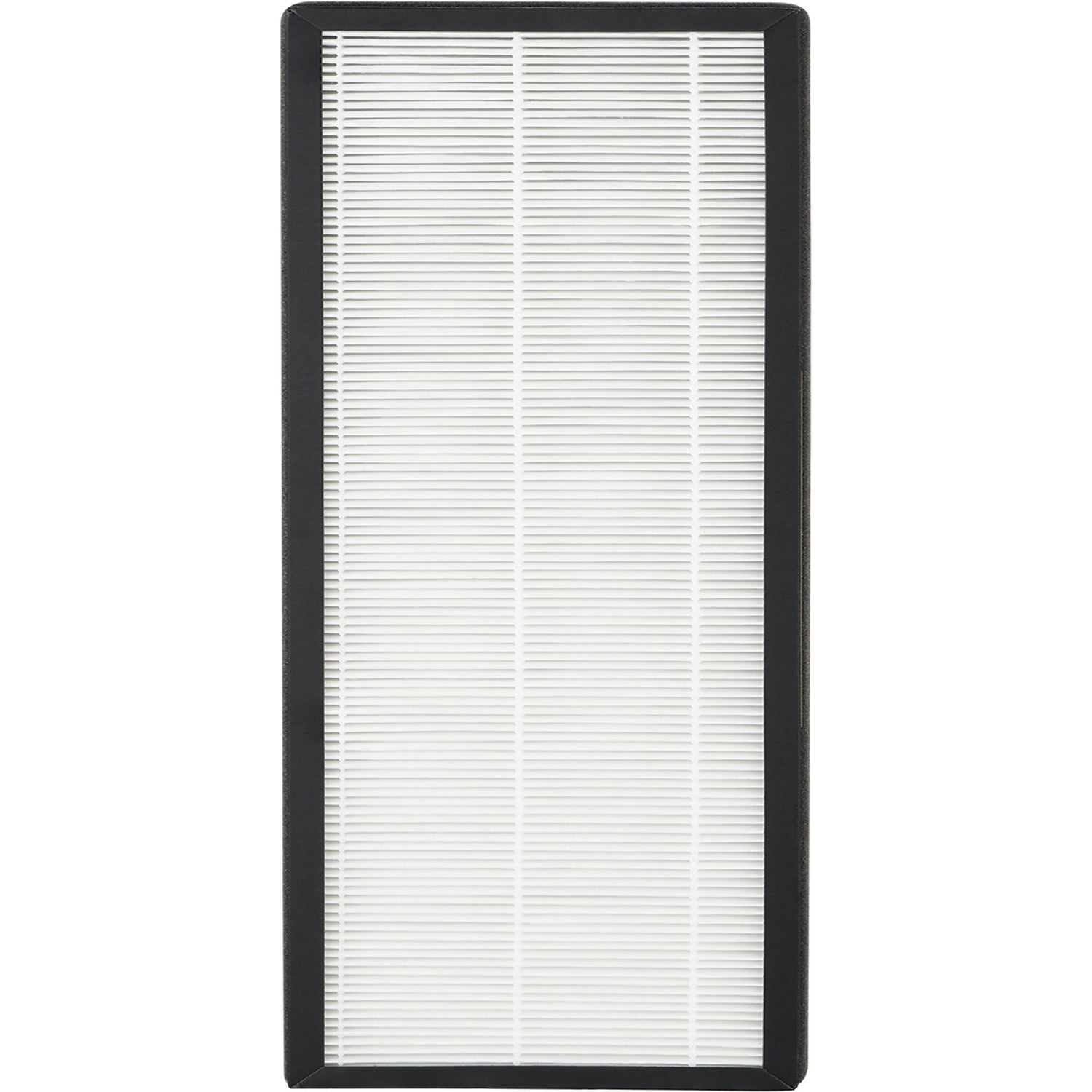Eureka Air 3-in-1 Air Purifier Replacement Filter (F1)