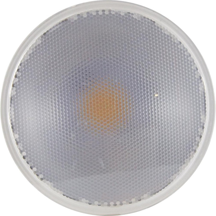 Satco 15W PAR38 LED Bulb (S29446)