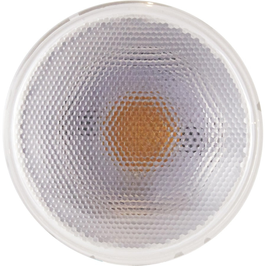 Satco PAR 30 LN LED Bulb (S29431)