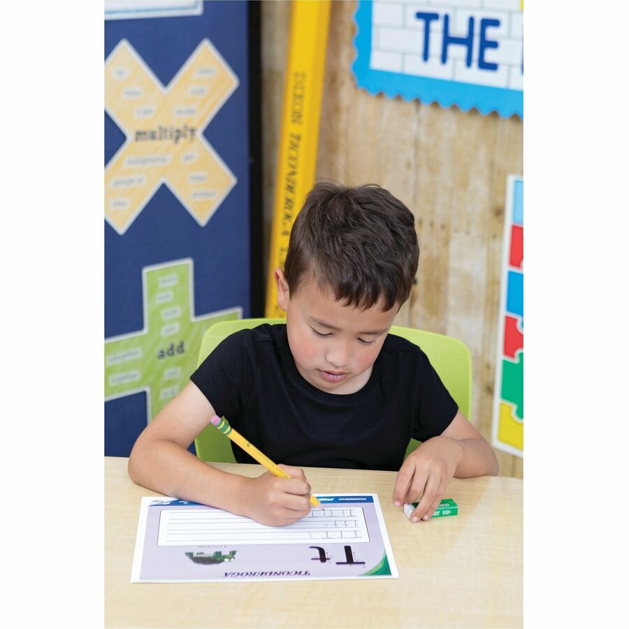 Ticonderoga White Erasers (X38004)