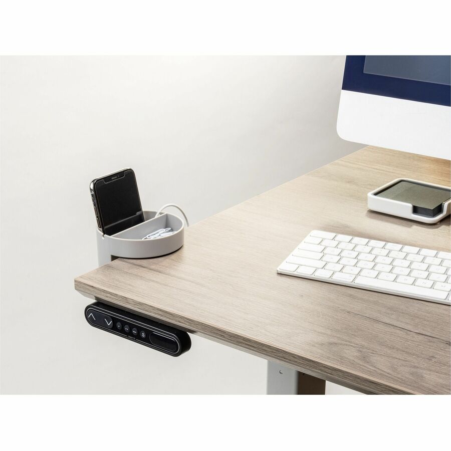 Deflecto Small Standing Desk Organizer (400001)