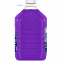 Fabuloso All-Purpose Cleaner (US05253A)