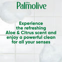 Palmolive Ultra Liquid Dish Soap (US04230A)