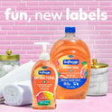 Softsoap Antibacterial Hand Soap (US05261A)