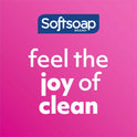 Softsoap Antibacterial Hand Soap (US05261A)