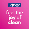 Softsoap Antibacterial Hand Soap (US05261A)